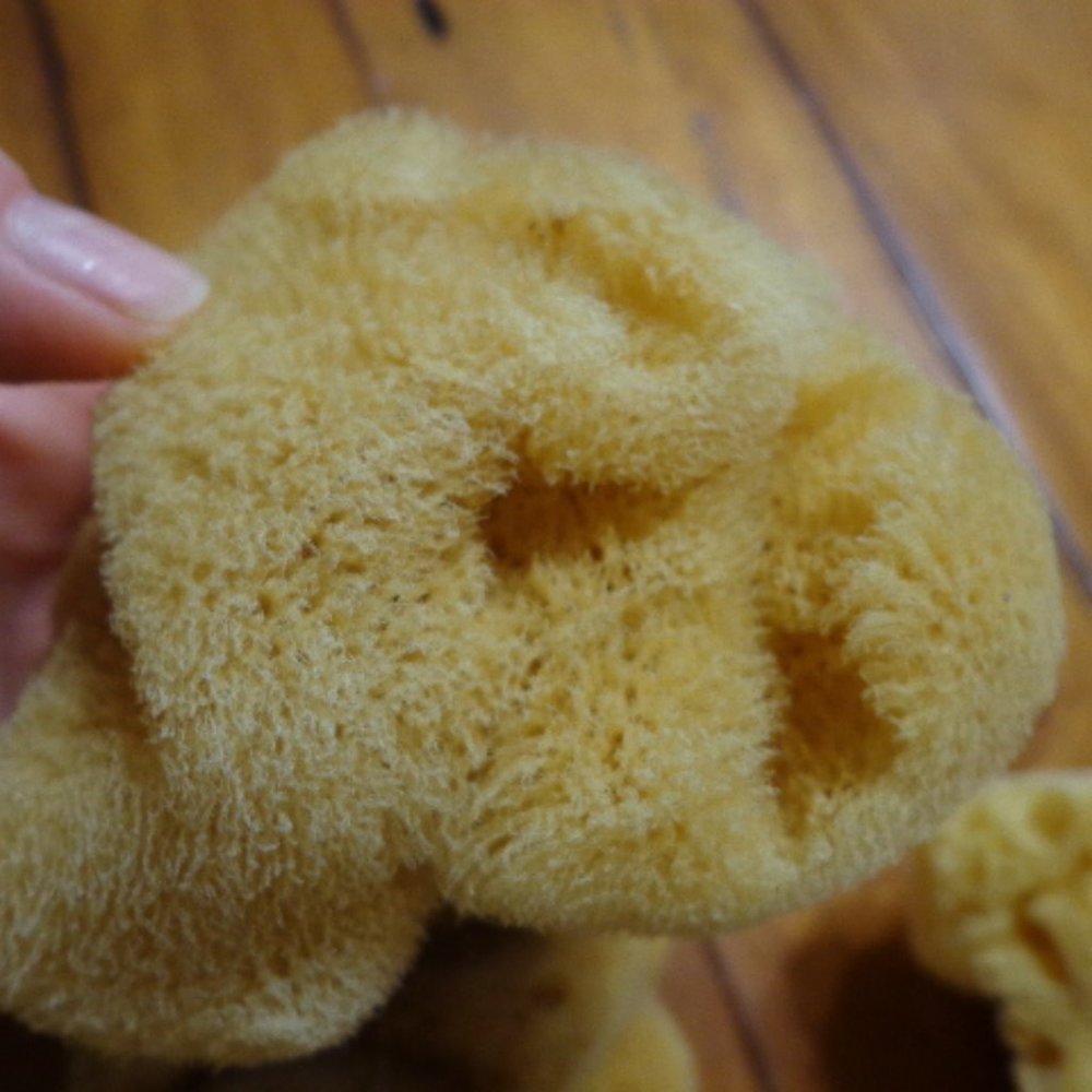Lot of 2 New! Authentic Natural Select Sponges - Picture 5 of 8